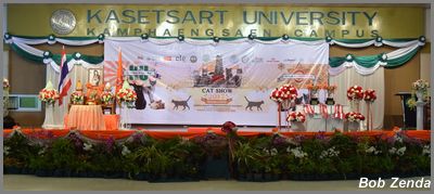 Show Hall Presentation Area